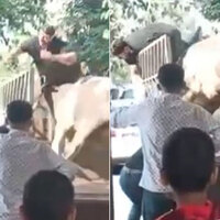 O anlar kamerada! Boğa kasabı boynuzlarıyla savurdu